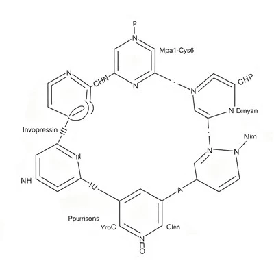 CAS 1488411-60-4 インボプレシン